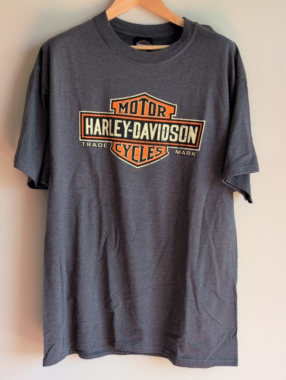Harley-Davidson Charcoal Gray T-Shirt, Horny Toad from Temple TX, Size XL (NWT)
